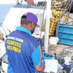 Marshall Islands Marine Resources Authority fisheries officers observe tuna transshipment from the purse seiner vessel Mathawmarfach, flagged to the Federated States of Micronesia, to a carrier vessel in this file photo from 2024.