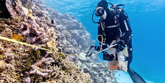 A complete eco-system