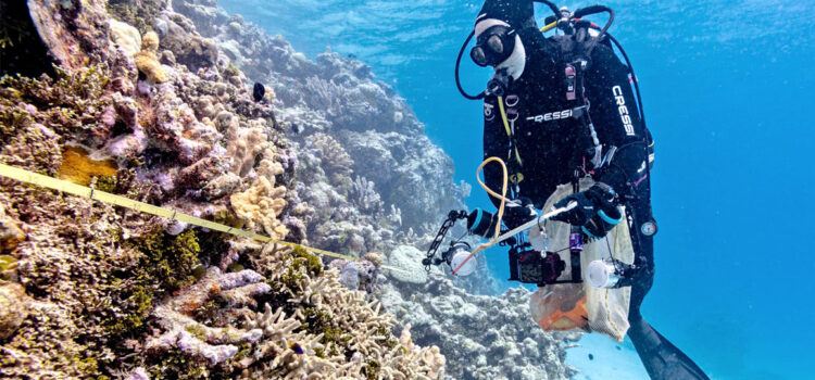 A complete eco-system