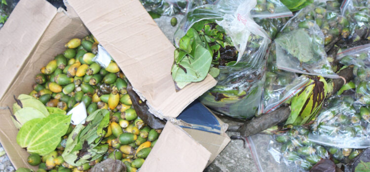 Betel nut legalized
