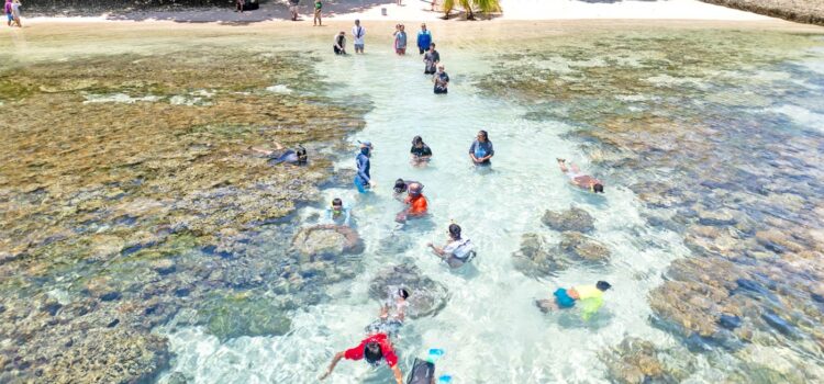 Tuna firm backs marine studies