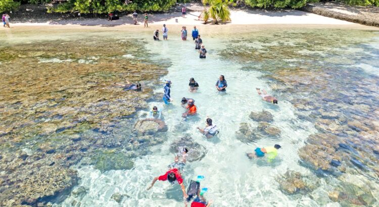 Tuna firm backs marine studies