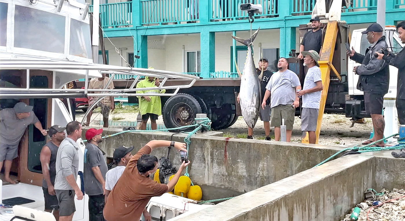 Lae catches the big marlin